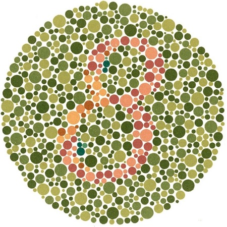 8 color blind test